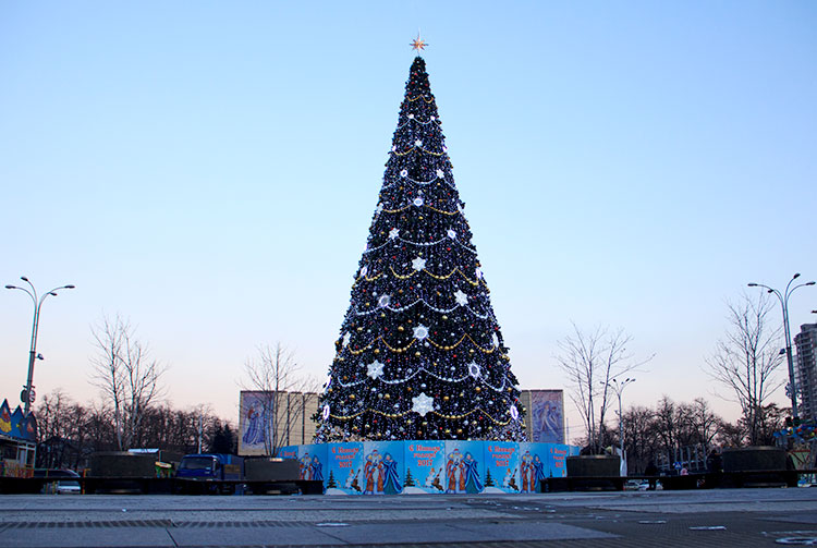Новогодняя елка в Краснодаре