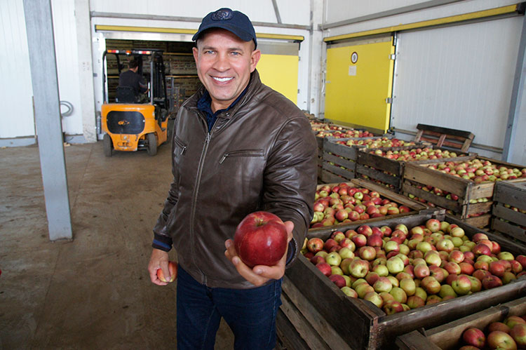 С.П. Генералов показывает, какие яблоки вырастили в СПК «Колос» в нынешнем году