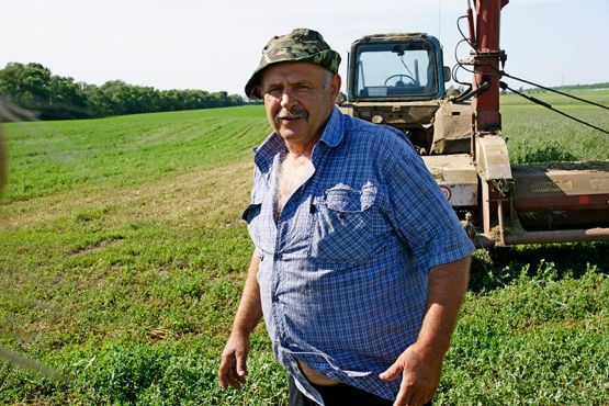 Геннадий Коваленко ведет укос зеленой массы многолетних и однолетних кормовых культур на подкормку крупному рогатому скоту
