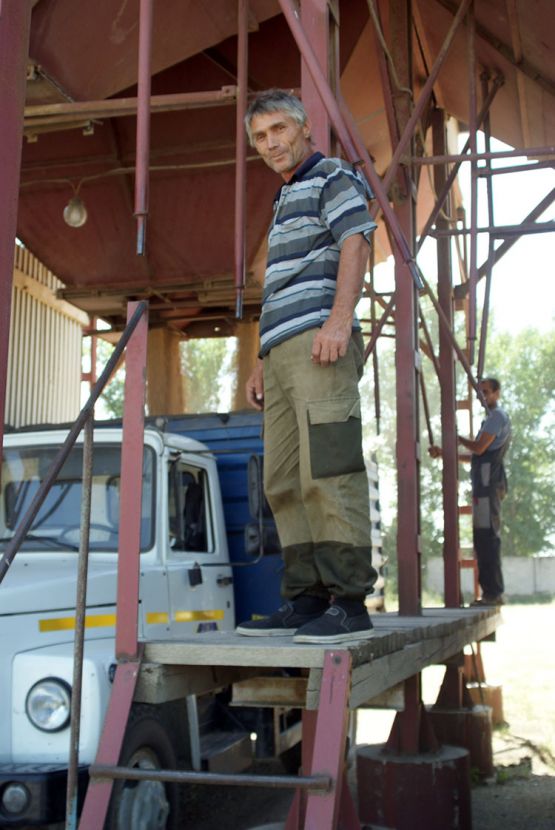 Владимир Попов работает за баранкой уже 36 лет. В ООО «Откормочный-Аметист» профессиональному водителю находится дело в любое время года. Летом он перевозит зерно на автомобиле ГАЗ-53 и участвует в подработке зерна