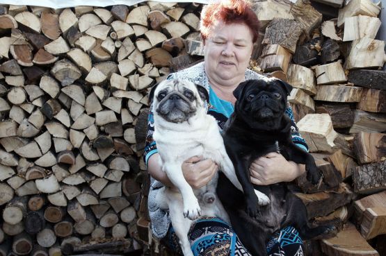 Ирина Ивановна Тузова из поселка Вперед очень любит собак, особенно своих питомцев – мопсов с веселым, дружелюбным характером