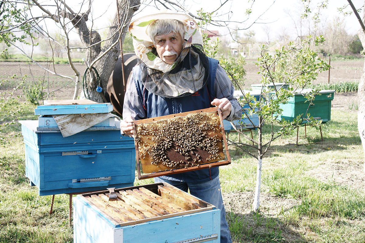  Сергей Васильевич Дудин шаг за шагом учился пчеловодству и вскоре понял, что это увлечение всерьез и надолго
