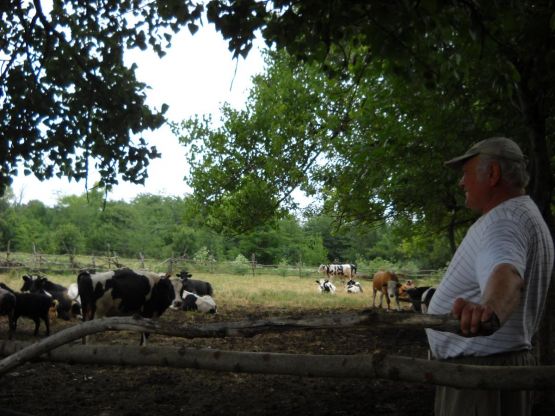Владелец ЛПХ Александр Анатольевич Деулин развивает молочное животноводство,  опираясь на поддержку краевых и муниципальных властей