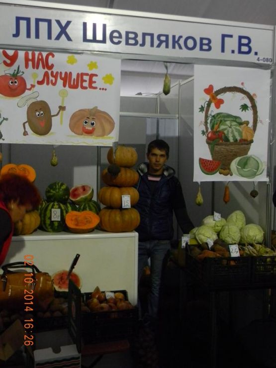 Овощной прилавок ЛПХ Геннадия Васильевича Шевлякова  притягивал внимание гостей ярмарки красиво оформленной  витриной, широким ассортиментом продукции и ее стоимостью