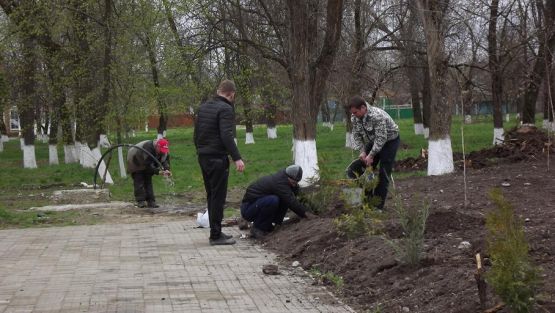 Высадка саженцев у мемориала  станицы Ильинской