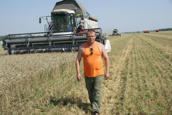 Комбайнер Евгений Львович Демин на уборке озимой пшеницы сорта «гром»