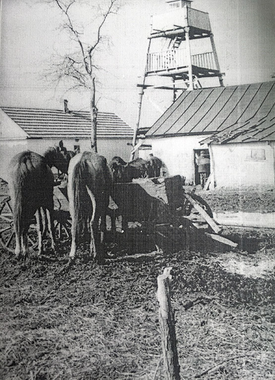 Пожарная служба станицы Новопокровской 1954 года