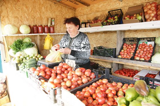 На въезде в станицу Калниболотскую расположилась  торговая точка для реализации овощей местных производителей. На одном из прилавков представлена продукция Павла Пахолкова, с которой овощевод участвовал в «Кубанской ярмарке-2018» 