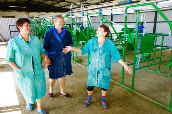 Много лет трудятся в молочном животноводстве Анна Грекова, Любовь Иванова и Светлана Давыдова (слева направо). Для улучшения условий труда доярок на МТФ построили площадку для летней дойки