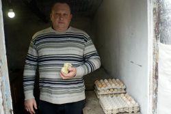 ИП глава КФХ Виктор Терехов ведет многопрофильное хозяйство