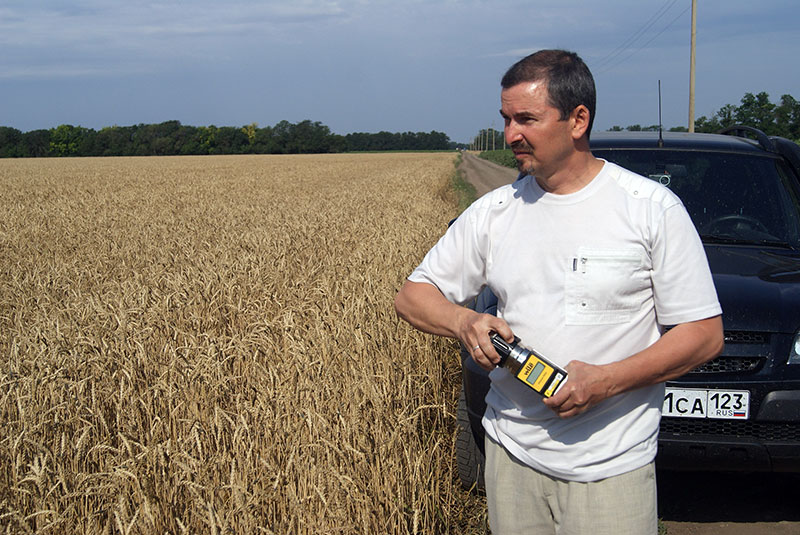 По ходу жатвы глава КФХ Ян Глебов постоянно измеряет влажность зерна озимой пшеницы. Этот показатель важен во время уборки урожая и при поступлении его на элеватор