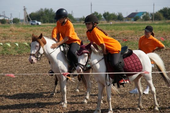 dsc01447a