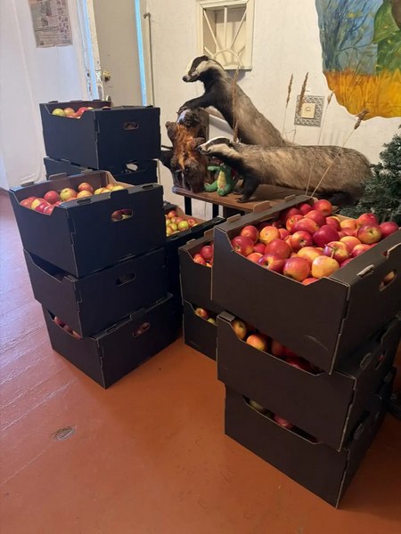 photo_2025-12-18_13-54-02