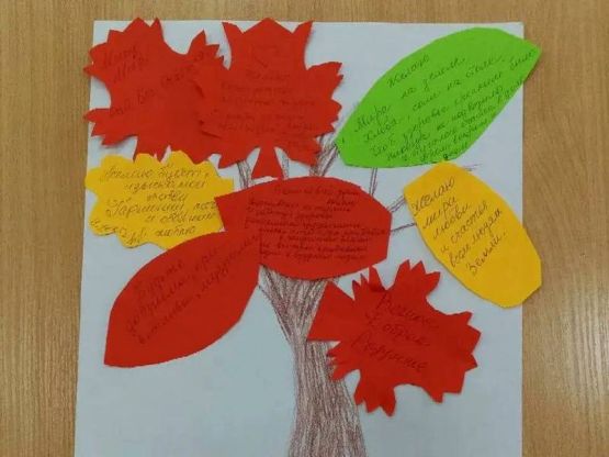 photo_2025-11-12_05-59-16