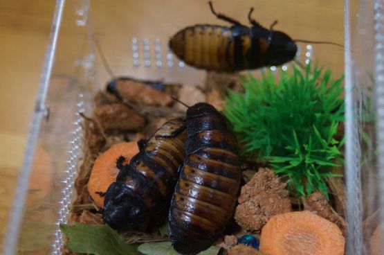 photo_2025-10-17_08-38-25