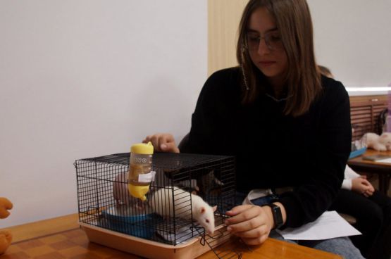 photo_2025-10-17_08-38-34