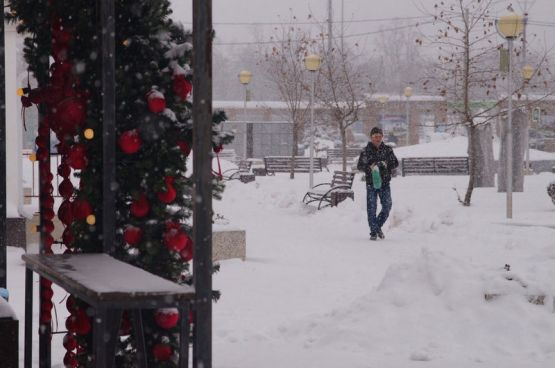 photo_2026-01-13_11-29-35