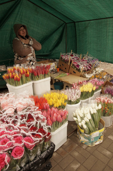 photo_2026-03-06_10-07-35