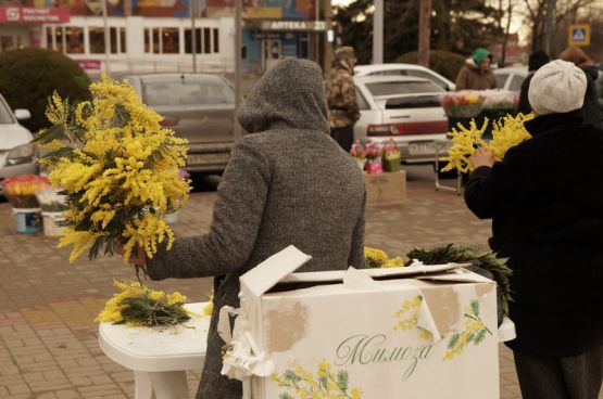 photo_2026-03-06_10-06-55