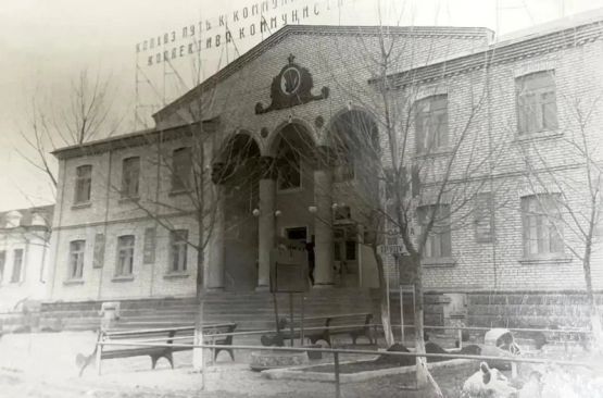 selskij-sovet-v-novoivanovskoj