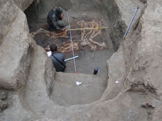 Вот какие находки, открывшиеся археологам, 4000 лет хранила земля новопокровская