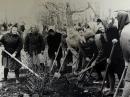 Апрель 1969 года. Районный сквер
